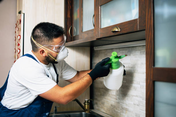 Best Local Pest Control Services  in Barton, NM