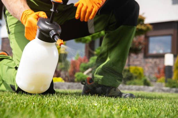 Pest Control Cost in Barton, NM