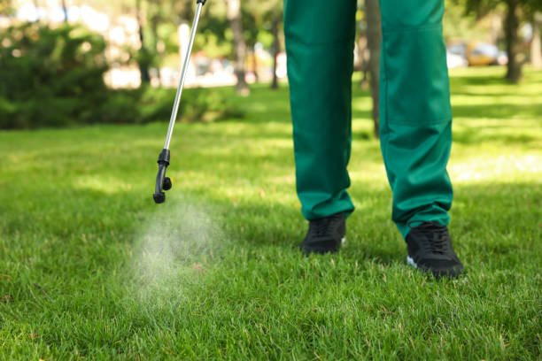 Best Best Pest Control Companies  in Barton, NM
