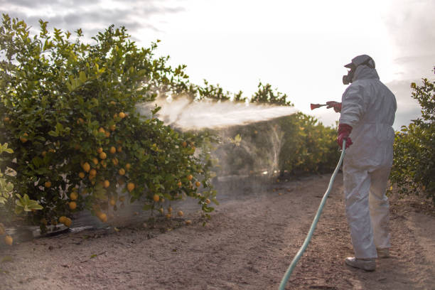 Professional Pest Control in Barton, NM