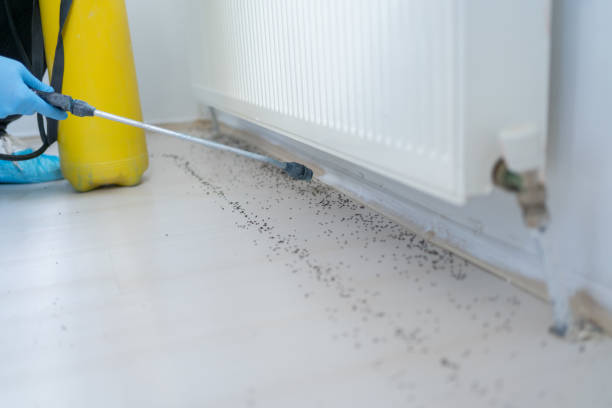 Best Affordable Pest Control Services  in Barton, NM