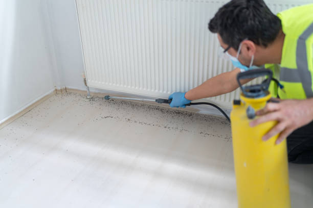 Best Local Pest Control Services  in Barton, NM