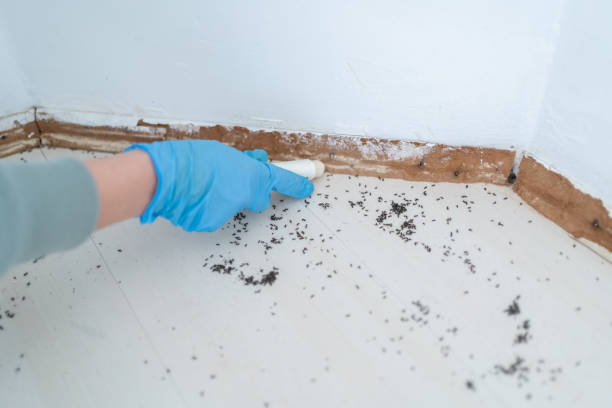Pest Prevention Services in Barton, NM
