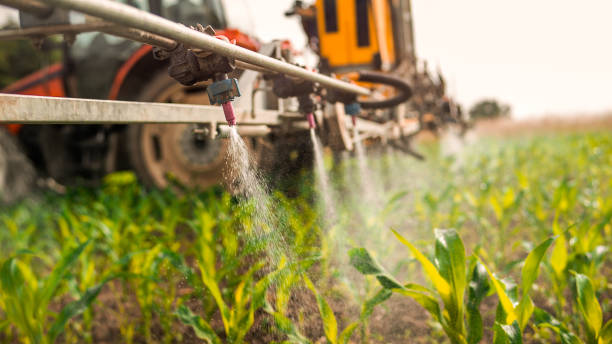 Best Pest Prevention Services  in Barton, NM