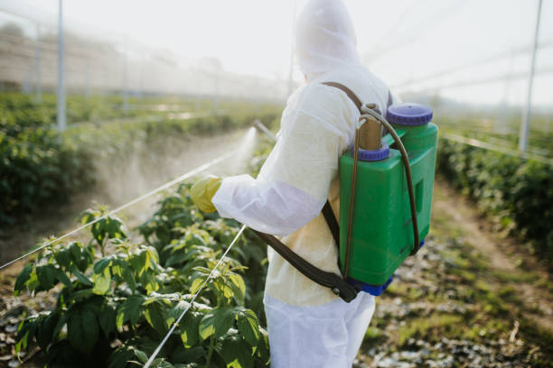 Best Cockroach Control Services  in Barton, NM